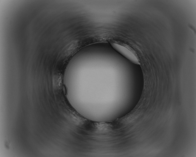 X0000092270336200710041357