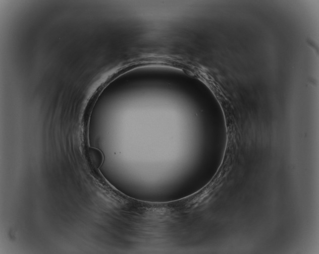 X0000092270342200710041356