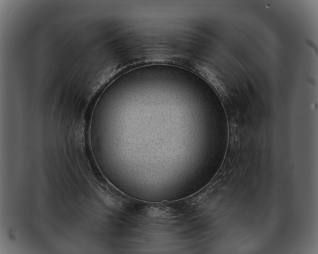 X0000092270346200710041356