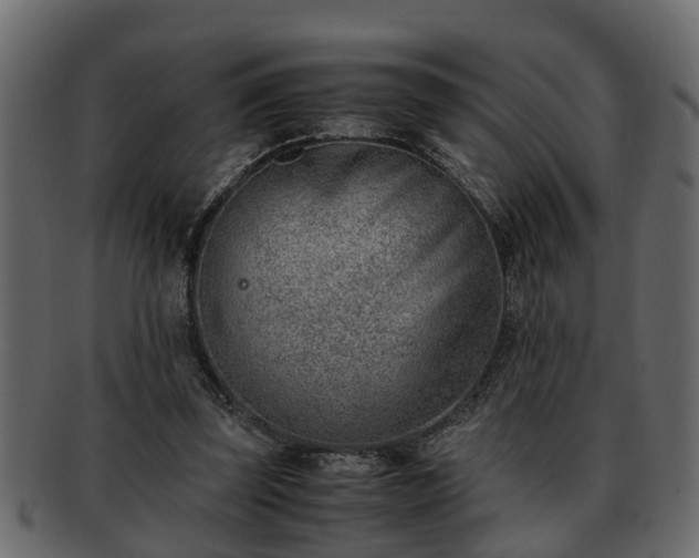 X0000092270347200710041356
