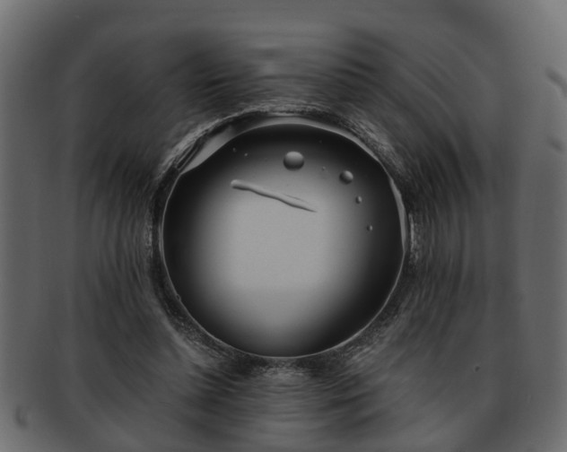 X0000092270348200710041356
