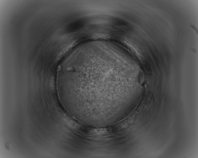 X0000092270353200710041357