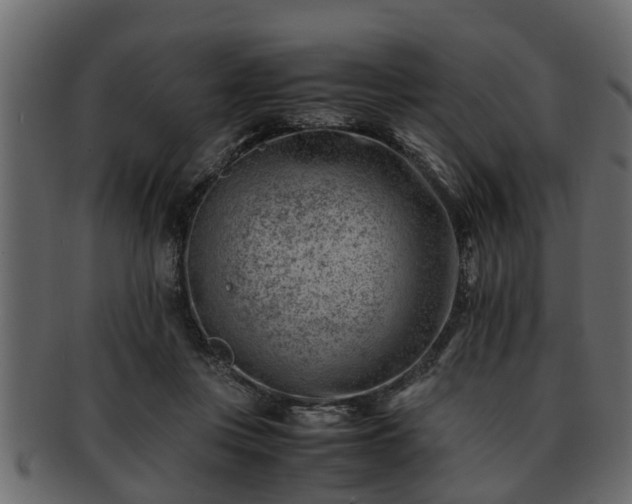 X0000092270359200710041357