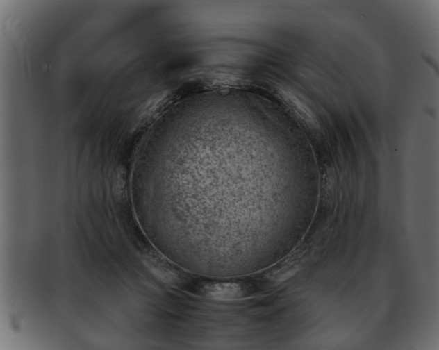 X0000092270361200710041357