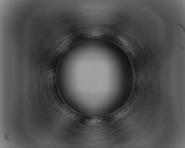 X0000092270366200710041357