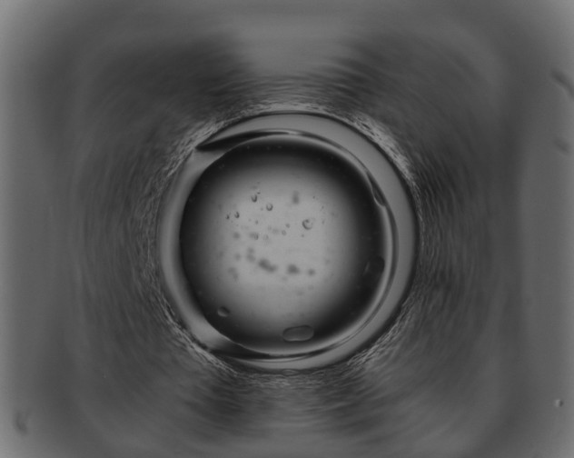 X0000092270385200710041356