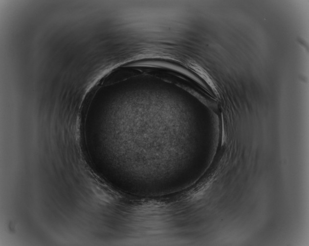 X0000092270387200710041356