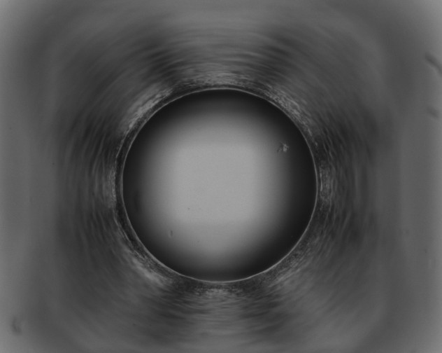 X0000092270390200710041356