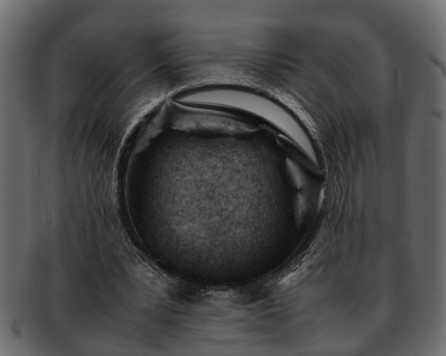 X0000092270391200710041356