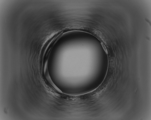 X0000092270395200710041356