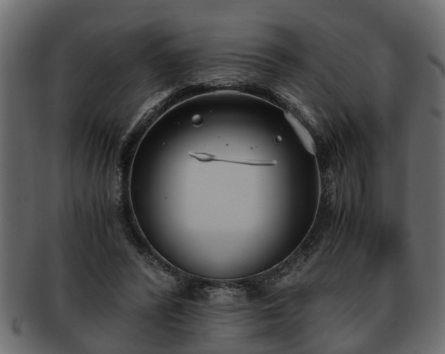 X0000092270400200710041356