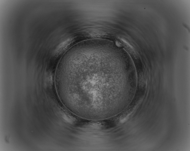 X0000092270405200710041356