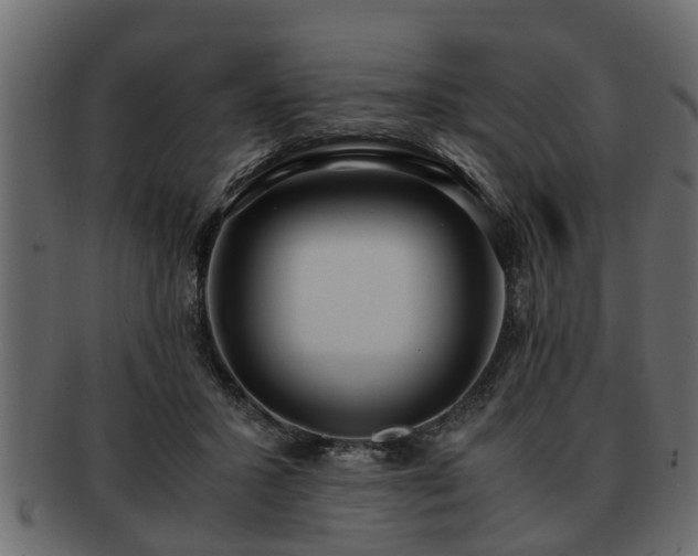 X0000092270407200710041356