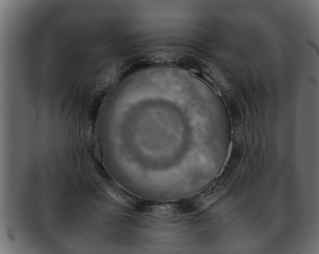 X0000092270411200710041356