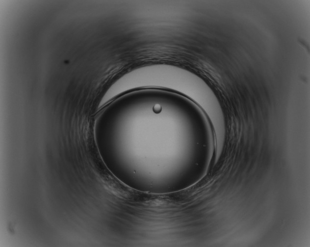 X0000092270412200710041356