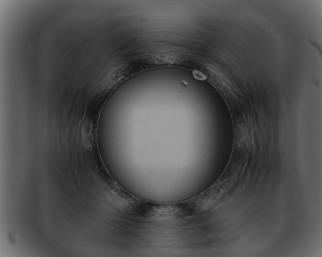 X0000092270414200710041356
