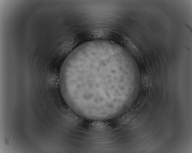 X0000092270419200710041356