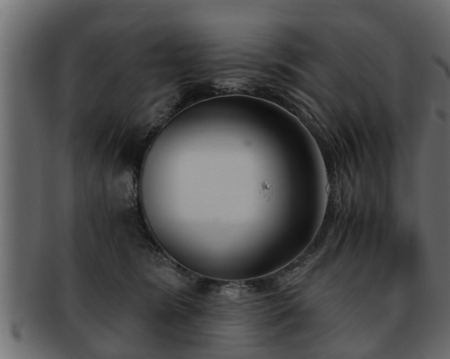 X0000092270420200710041356