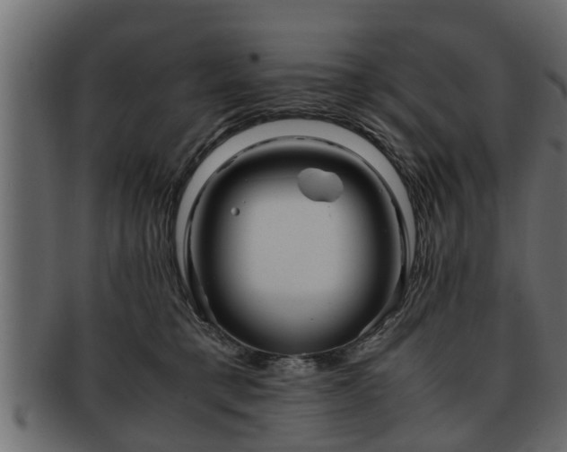 X0000092270421200710041356