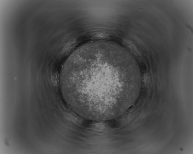 X0000092270423200710041356