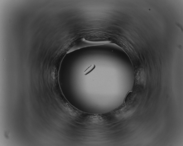 X0000092270424200710041356