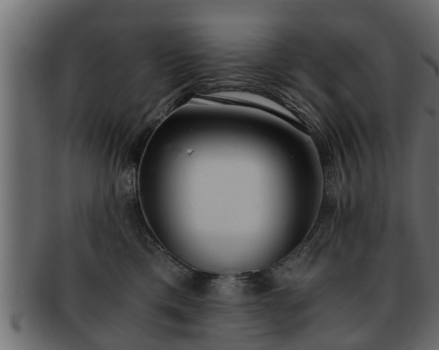 X0000092270425200710041356