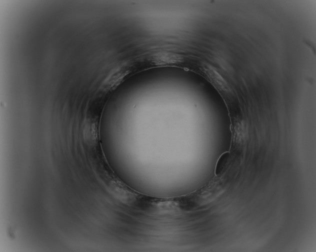 X0000092270426200710041356