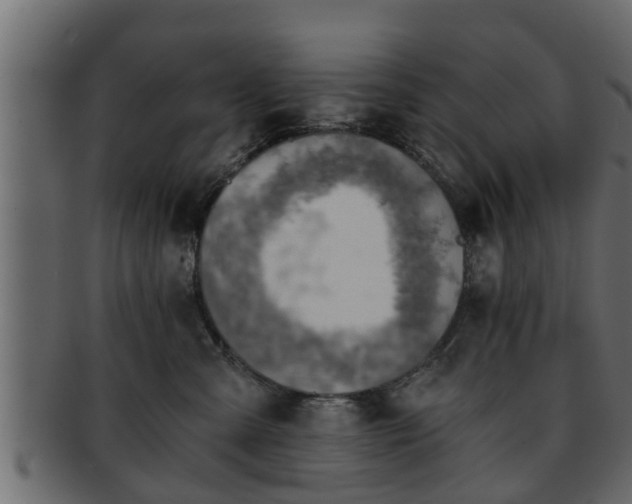 X0000092270427200710041356