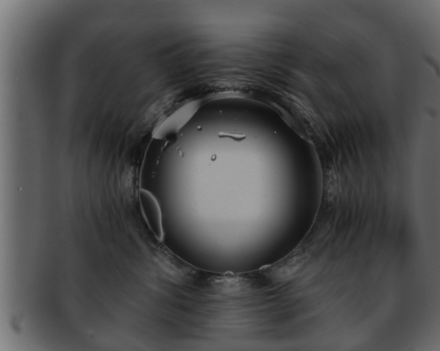 X0000092270428200710041356