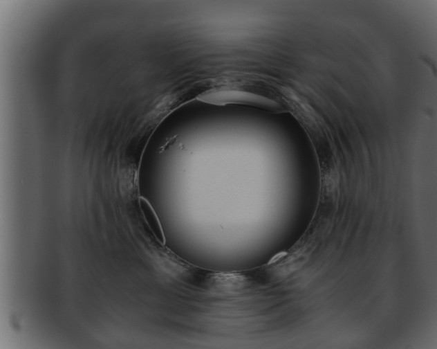 X0000092270429200710041356