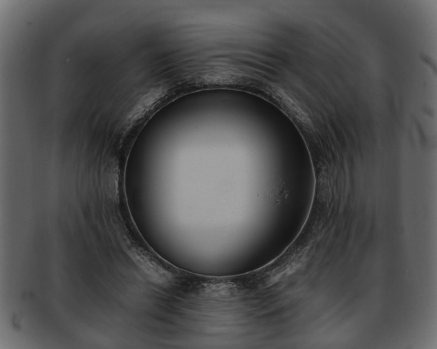 X0000092270446200710041355