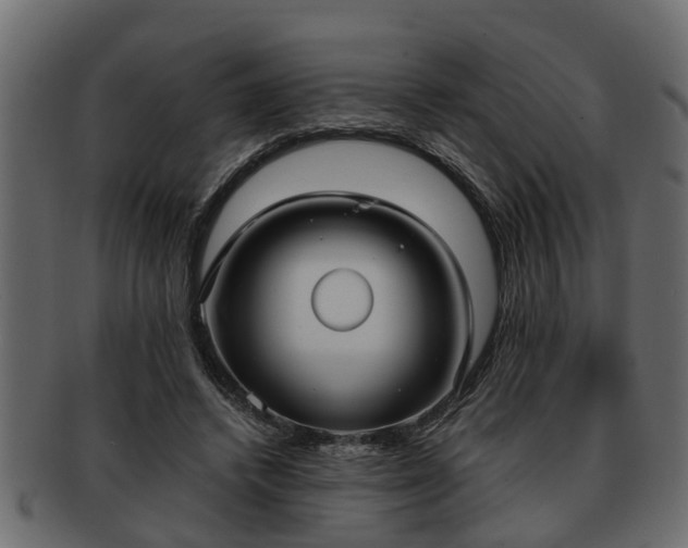 X0000092270448200710041355
