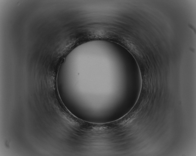 X0000092270450200710041355