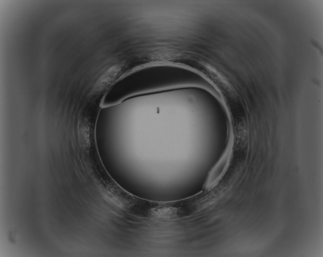 X0000092270452200710041355