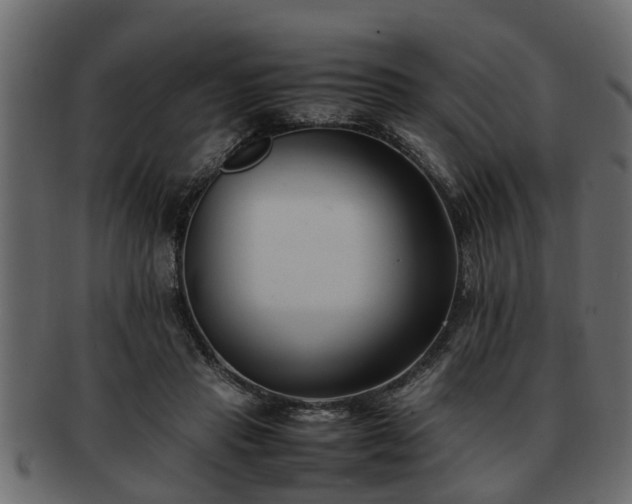 X0000092270453200710041355