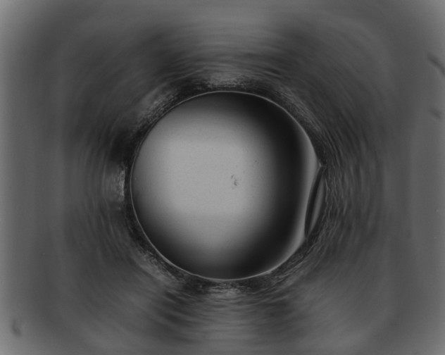 X0000092270454200710041355