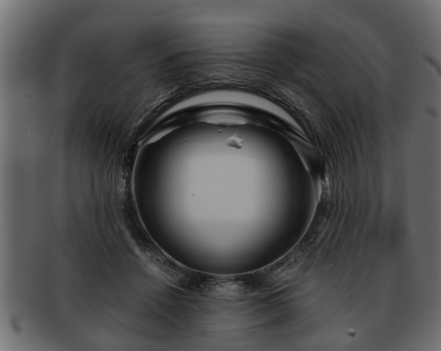 X0000092270456200710041356