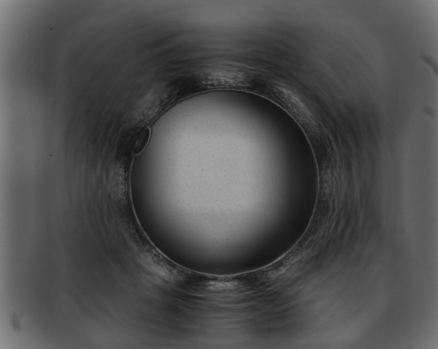 X0000092270457200710041356