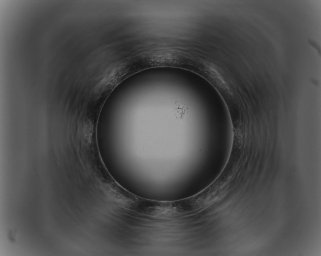 X0000092270458200710041356