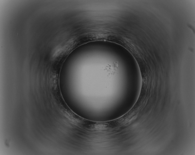 X0000092270462200710041356