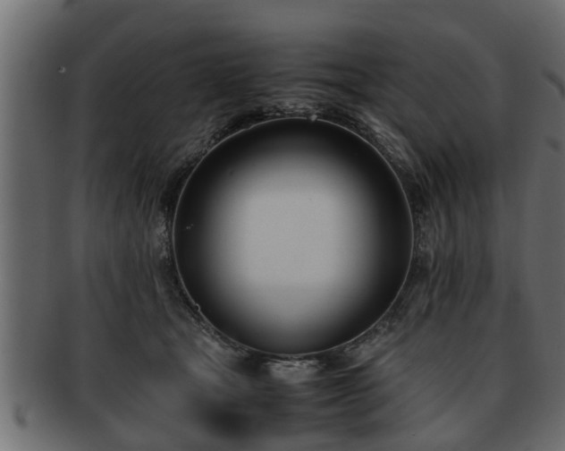 X0000092270465200710041356