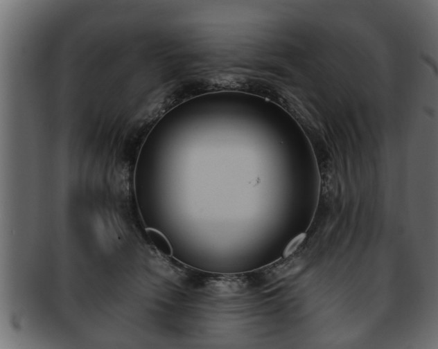 X0000092270466200710041356