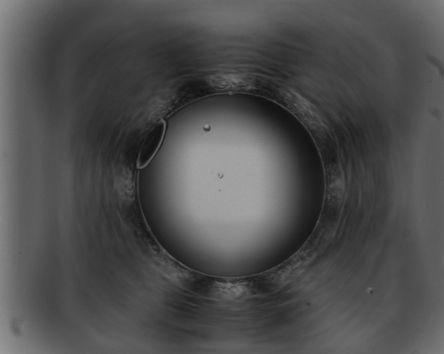 X0000092270469200710041356