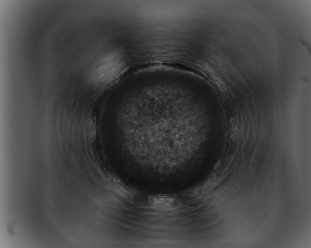 X0000092270471200710041356