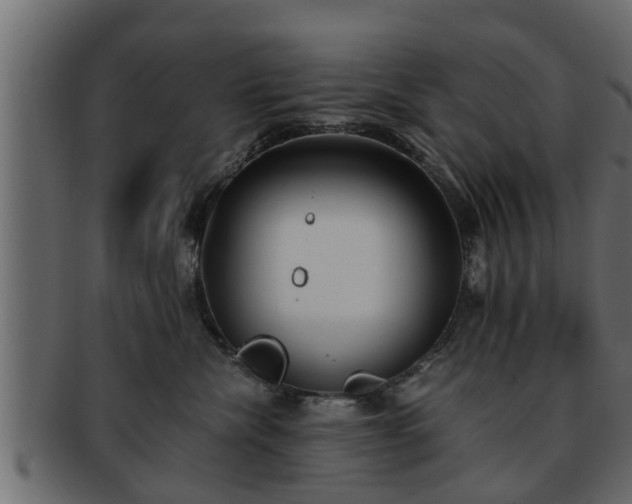 X0000092270476200710041356