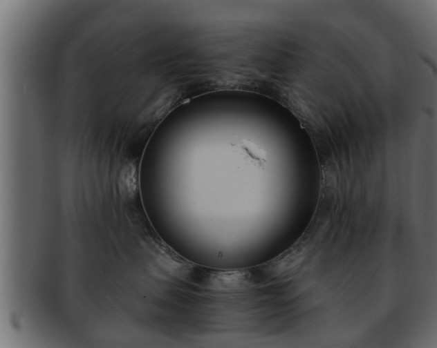 X0000092270479200710041356