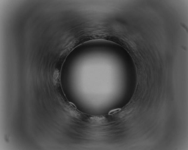 X0000092270480200710041356