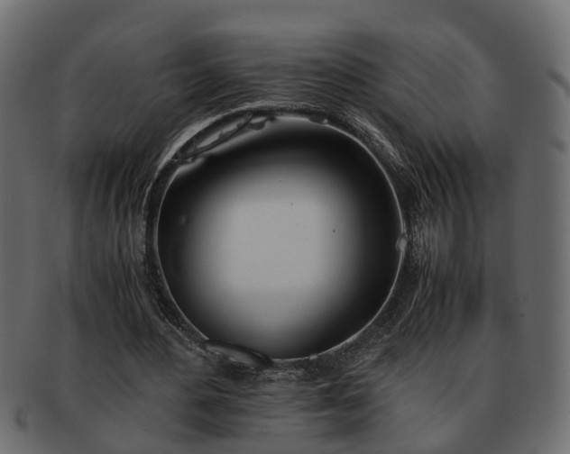 X0000092270484200710041355