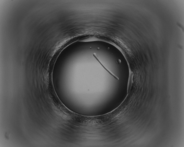 X0000092270488200710041355