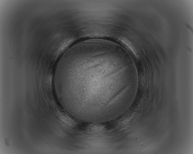 X0000092270491200710041355